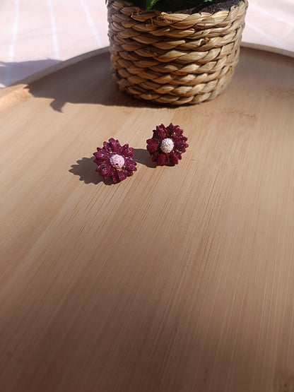 Clous d'oreilles " cassis enchanté "